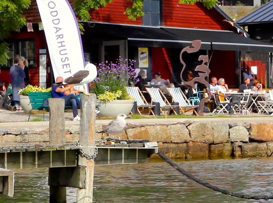 Galleri Roddarhuset