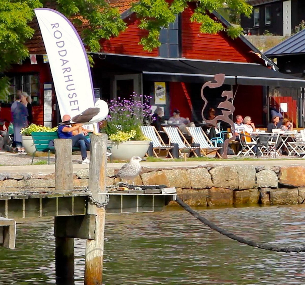 Galleri Roddarhuset